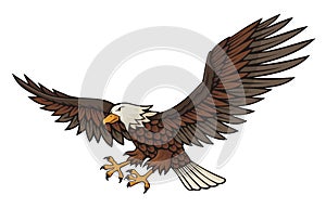 Eagle attacking
