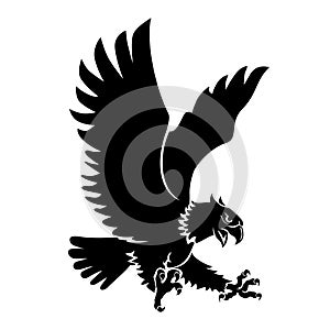 eagle attacking prey above