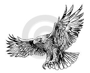 Eagle attacking sketch hand drawn engraving style Vector illustration