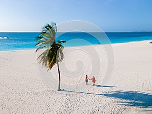 Eagle Beach Aruba, Palm Trees on the shoreline of Eagle Beach in Aruba,