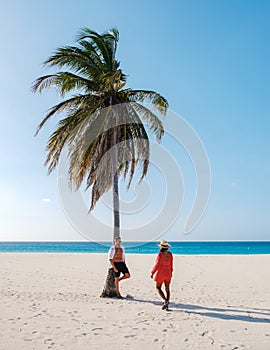 Eagle Beach Aruba, Palm Trees on the shoreline of Eagle Beach in Aruba,