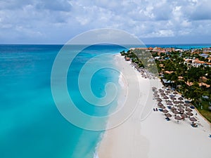 Eagle Beach Aruba, Palm Trees on the shoreline of Eagle Beach in Aruba,