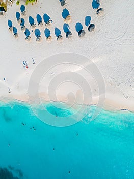 Eagle Beach Aruba, Palm Trees on the shoreline of Eagle Beach in Aruba,