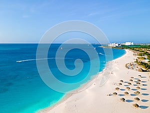 Eagle Beach Aruba, Palm Trees on the shoreline of Eagle Beach in Aruba,