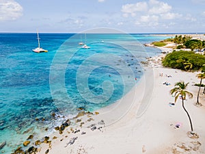 Eagle Beach Aruba, Palm Trees on the shoreline of Eagle Beach in Aruba,