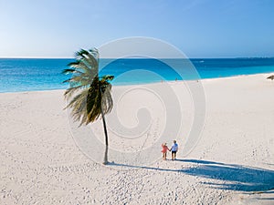 Eagle Beach Aruba, Palm Trees on the shoreline of Eagle Beach in Aruba,