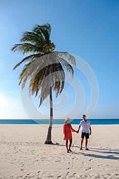 Eagle Beach Aruba, Palm Trees on the shoreline of Eagle Beach in Aruba,