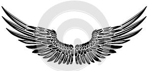 Eagle Bird or Angel Wings