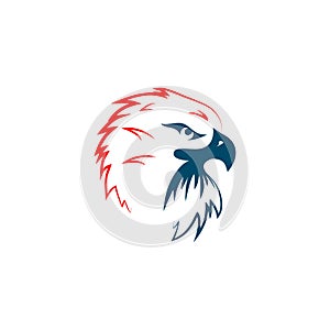 Eagle bird icon logo design vector illustration template