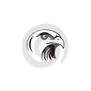 Eagle bird icon logo design vector illustration template