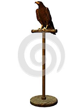 Eagle on bird perch