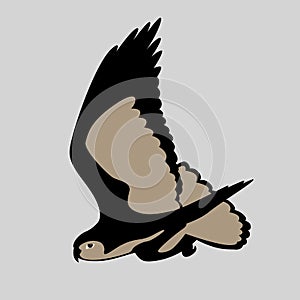 Eagle bird vector illustration style Flat