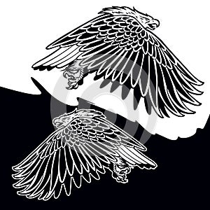 Eagle Black and White  vector logo design illustration