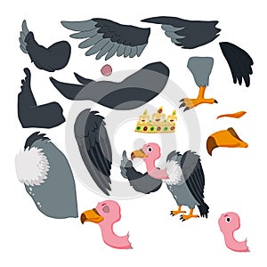 Eagle body parts cartoon and animation characters. photo