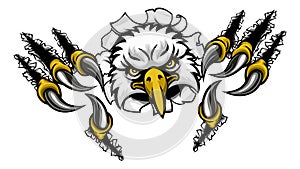 Eagle Cartoon Sports Mascot Tearing Background