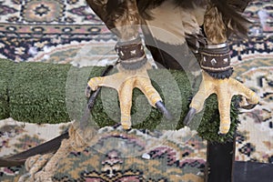 Eagle claws on a poster