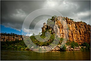 Eagle on the cliff