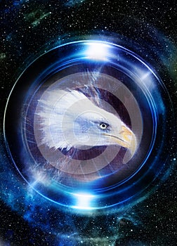 Eagle in cosmic space and light circle. original painting collage. Mirror on the planet Earth. Animal concept, Profile