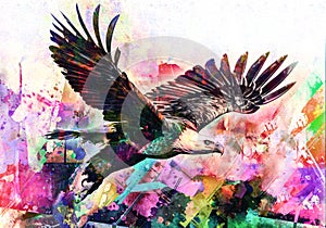 Águila creativo abstracto elementos sobre el vistoso 