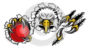 Eagle Cricket Cartoon Mascot Ripping Background