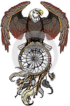 Eagle with dream catcher