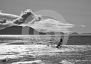 Eagle on driftwood in black and white