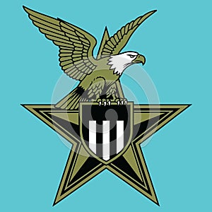 Eagle Emblem on Star Shield