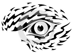 Eagle eye graphic