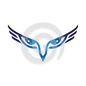 Eagle eye symbol predator eye vector