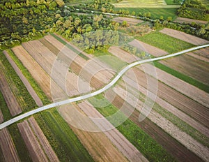 Aerial view of narrow dirt road in the middle of cultivated crop field on the edge of forest in rural landscape around Zagreb