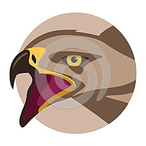 Eagle face head, vector illustration, flat style, front