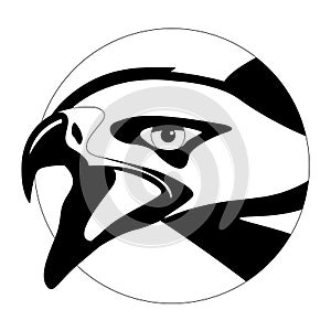 Eagle face head, vector illustration, lining draw, front