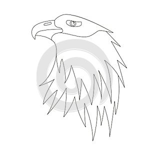 Eagle face head, vector illustration, lining draw, front