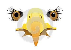Eagle face