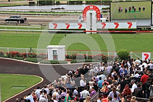 Eagle Farm Racourse as part of Melbourne Cup