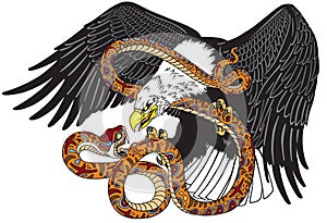 Eagle fighting a snake serpent photo