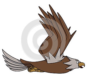 The Eagle Flaps Its Wings To Fly Color Illustration