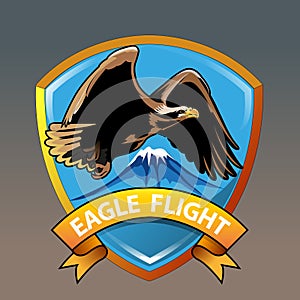 Eagle Flight