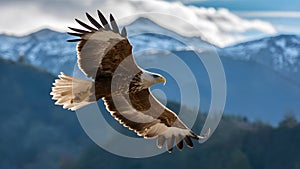 Eagle in Flight Majestic Predator Soaring Over Mountain Landscape