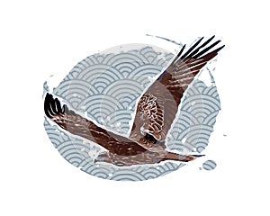 Eagle in flight in the sky, vintage illustration