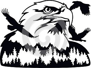 Eagle, flight - Wildlife Stencils - Freedom Eagle Silhouette, Wildlife clipart isolated on white