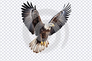 Eagle fly on transparent from die cutting, US concept, PNG