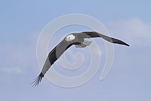 Eagle Flyby