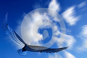 Eagle flying