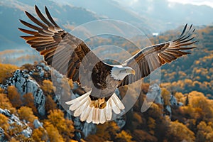 Eagle flying high above a clear sky. photo