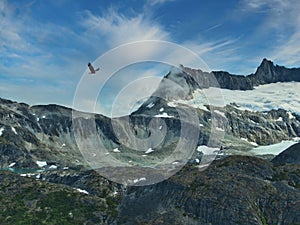 Eagle flying over Alaskan mountains