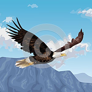 Eagle flying over landscape drawing