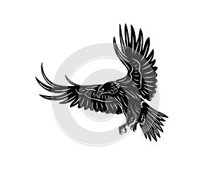 Eagle Flying Silhouette