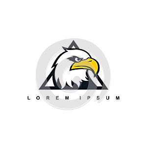 eagle hawk bird logo template