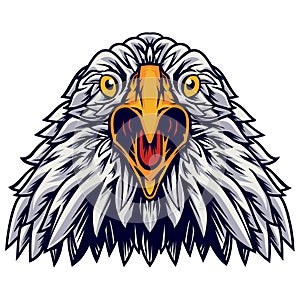 Eagle head, angry face, vector illustration